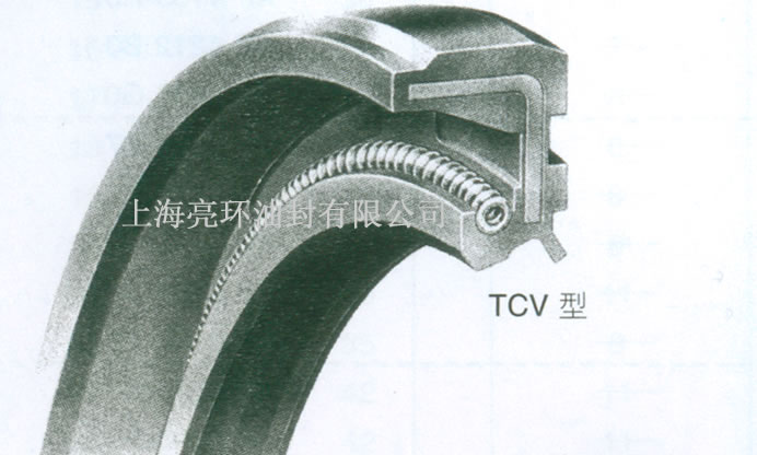 TCV͹Ǽͷͼ