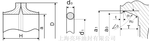 浮动油封剖面图